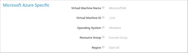 Microsoft Azure Specific